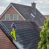 Saving money with roof cleaning
